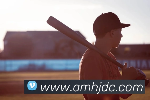 皇家赌场hjdc平台生态图